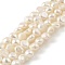 Natural Cultured Freshwater Pearl Beads Strands, Two Sides Polished, Grade 3A+, Floral White, 4~5mm, Hole: 0.5mm, about 39pcs/strand, 7.09''(18cm)