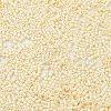 Baking Paint Glass Seed Beads SEED-S042-15B-25-3