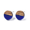 Opaque Resin & Walnut Wood Stud Earrings EJEW-N017-008-B06-2