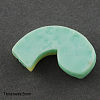 Resin Cabochons CRES-S072-05-2