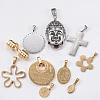Mixed Style Stainless Steel Jewelry Pendants STAS-H554-02-1