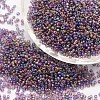 8/0 Round Glass Seed Beads X-SEED-J011-F8-173-1