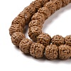 Natural Rudraksha Bodhi Seed Beads WOOD-G011-01D-3