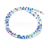 Handmade Czech Lampwork Beads Strands LAMP-L078-008M-2