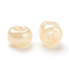 Glass Seed Beads SEED-XCP0001-01-5