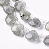 Natural Labradorite Beads Strands G-G821-01B-3