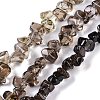 Natural Smoky Quartz Beads Strands G-B072-A01-01-1