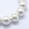 Shell Pearl Beads Strands BSHE-K053-02-14mm-3