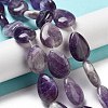 Natural Amethyst Beads Strands G-P528-L05-01-2