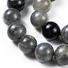 Grade AA Natural Gemstone Labradorite Round Beads Strands G-E251-33-10mm-5