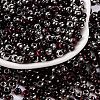 Glass Seed Beads SEED-A032-06K-1