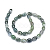 Natural Moss Agate Beads Strands G-D0005-10-2