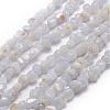 Natural Blue Lace Agate Beads Strands G-F465-03-1