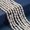 Grade A Natural Cultured Freshwater Pearl Beads Strands X-A23WS011-01-3