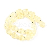 Transparent Glass Enamel Beads Strands GLAA-B021-06C-2