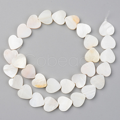 Natural Freshwater Shell Beads Strands SHEL-S276-87-1