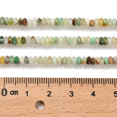 Natural Serpentine Beads Strands G-B107-D05-02-1