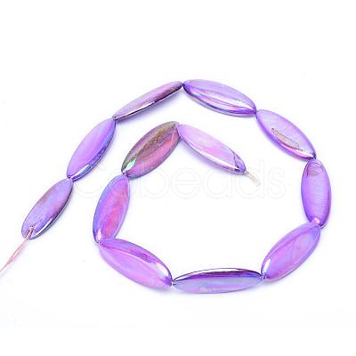 Natural Freshwater Shell Bead Strands SHEL-S253-09-1