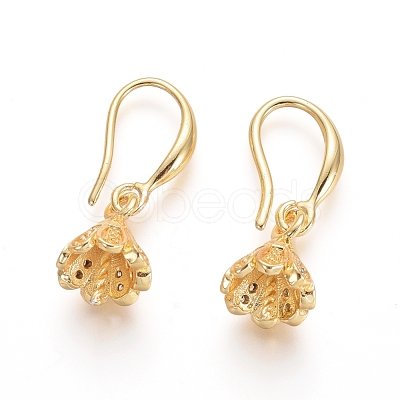 Brass Micro Pave Cubic Zirconia Earring Hooks ZIRC-L086-007-1