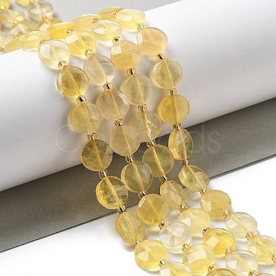 Natural Fluorite Beads Strands G-B094-A30-01-1