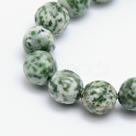 Natural Green Spot Jasper Beads Strands G-L148-12mm-01-1