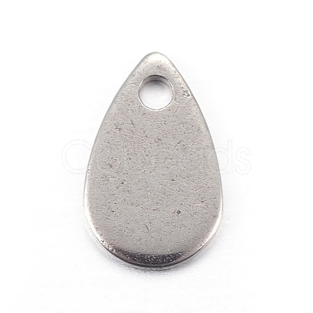 Stainless Steel Charms STAS-L211-02A-P-1