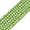 Electroplate Glass Beads Strands, Opaque Solid Color, AB Color Plated, Faceted, Rondelle, Olive Drab, 2.9~3.3x2mm, Hole: 0.8mm, about 148~150pcs/strand, 39.5~40cm