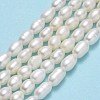 Natural Cultured Freshwater Pearl Beads Strands PEAR-J006-09B-2
