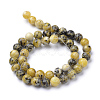 Natural Yellow Turquoise(Jasper) Beads Strands X-G-R345-8mm-44-2