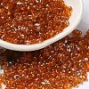 Spray Painted Glass Seed Beads SEED-F005-05A-02-1