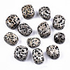 Natural Dalmatian Jasper Beads G-N332-012-1