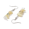 Natural Mixed Stone Dangle Earrings EJEW-JE06154-01-4