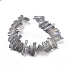 Natural Quartz Crystal Points Beads Strands G-K181-B21-2