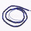 Natural Lapis Lazuli Beads Strands X-G-G545-18-2