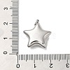 Non-Tarnish 304 Stainless Steel Pendants STAS-K263-27P-3