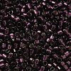 Glass Seed Beads X-SEED-S042-04B-30-3