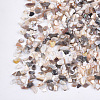 Shell Beads MRMJ-S034-08-2