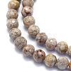 Natural Conch Fossil Beads Strands G-K310-A07-6mm-3