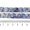 Natural Blue Spot Jasper Beads Strands G-K359-B19-01-5