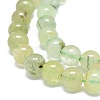 Natural Prehnite Beads Strands G-O201A-06A-3