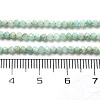 Natural Amazonite Beads Strands G-G161-A02-01-5