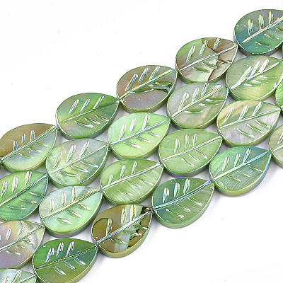 Freshwater Shell Beads Strands X-SHEL-S274-61B-1