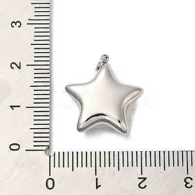 Non-Tarnish 304 Stainless Steel Pendants STAS-K263-27P-1