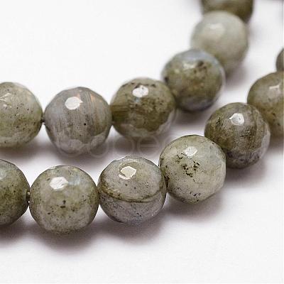 Natural Labradorite Beads Strands G-D840-10-8mm-1