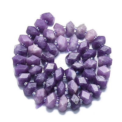 Natural Lepidolite/Purple Mica Stone Beads Strands G-K245-G02-04-1