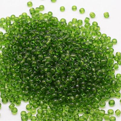 8/0 Glass Seed Beads SEED-J013-F8-14-1