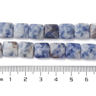 Natural Blue Spot Jasper Beads Strands G-K359-B19-01-1