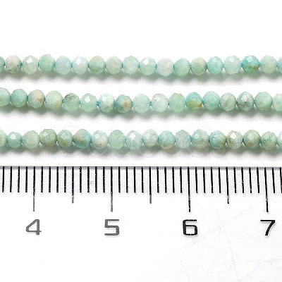 Natural Amazonite Beads Strands G-G161-A02-01-1