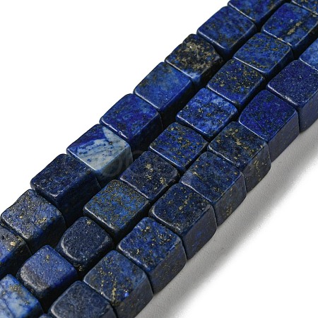 Natural Lapis Lazuli Beads Strands G-C084-E05-01-1