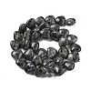 Natural Larvikite Beads Strands G-B022-28C-4